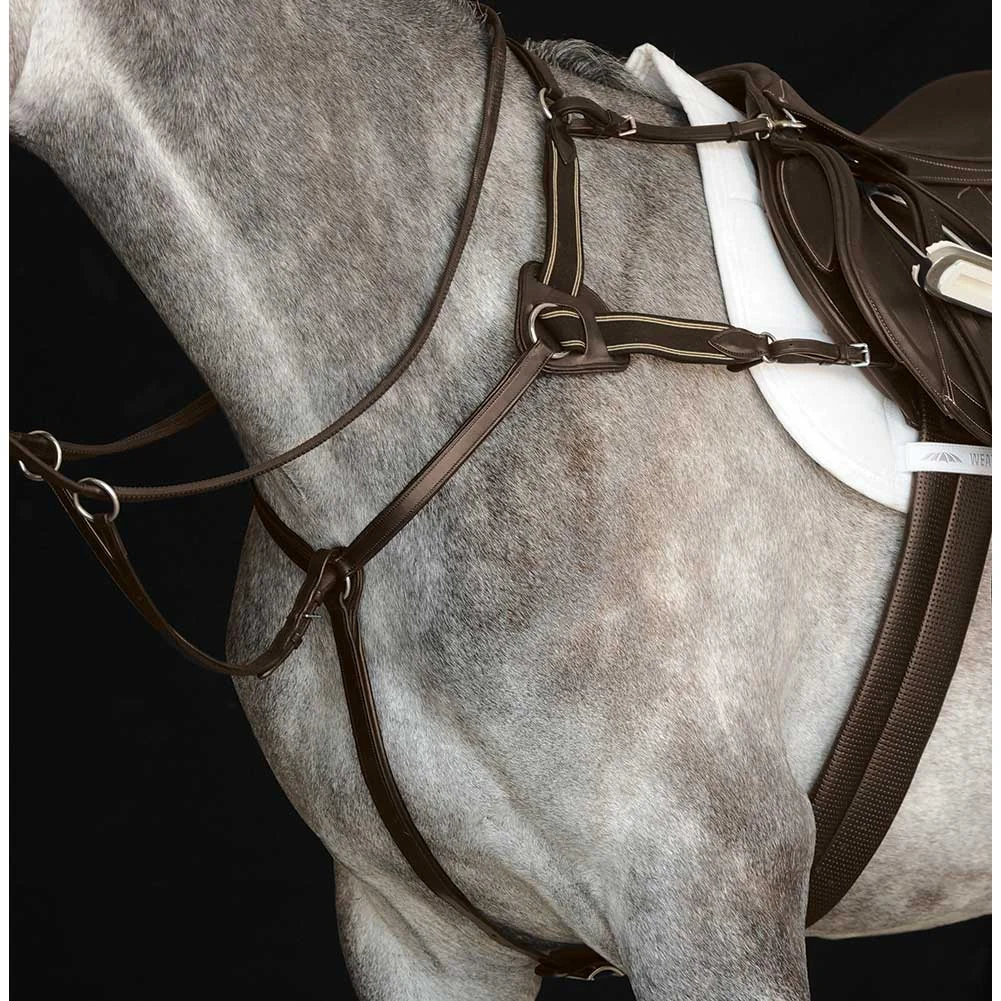 Collegiate 5 Point Breastplate