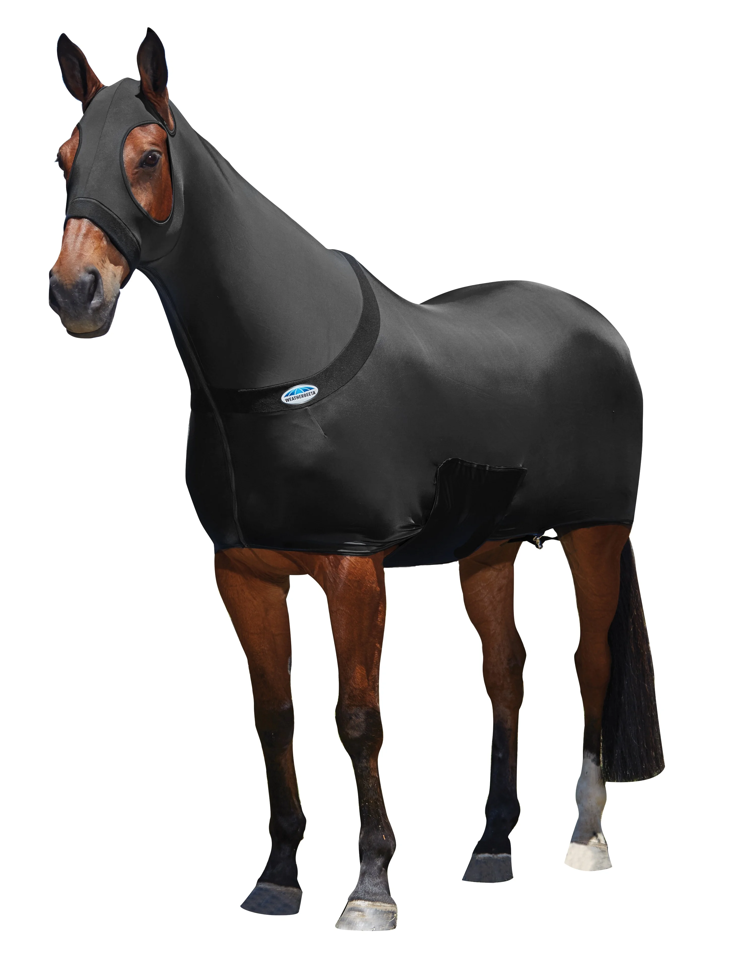 WeatherBeeta Stretch Rug