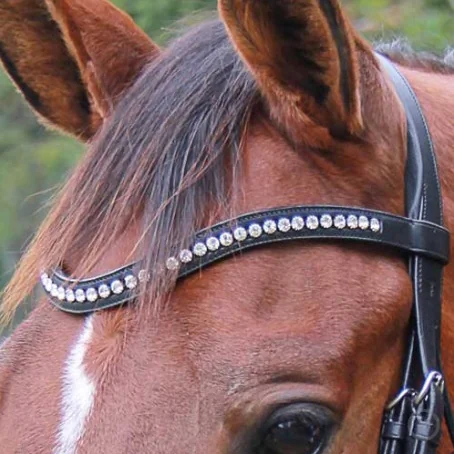 Vespucci Contoured Swarovski Crystals