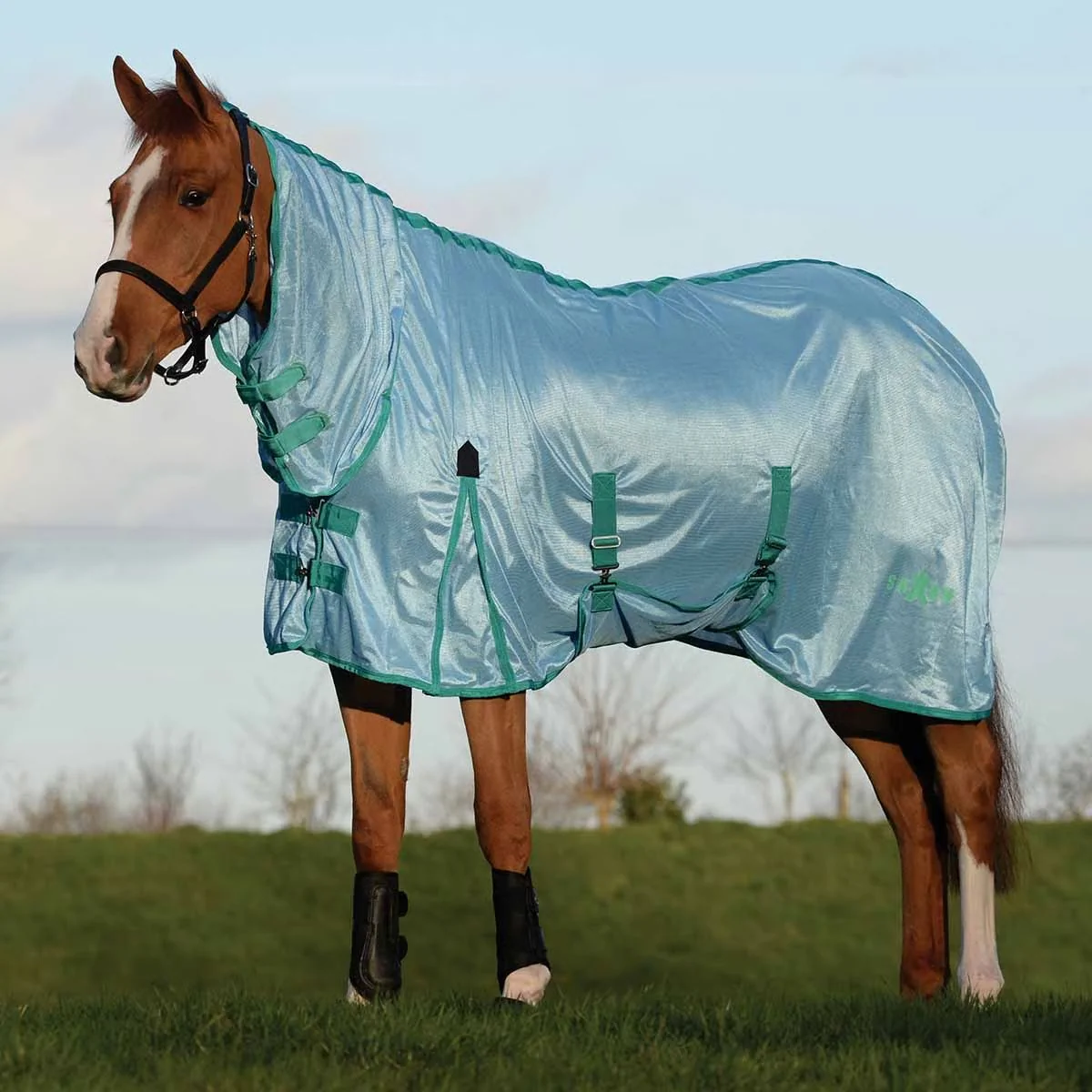 Saxon Mesh with Gusset Combo Neck Fly Sheet