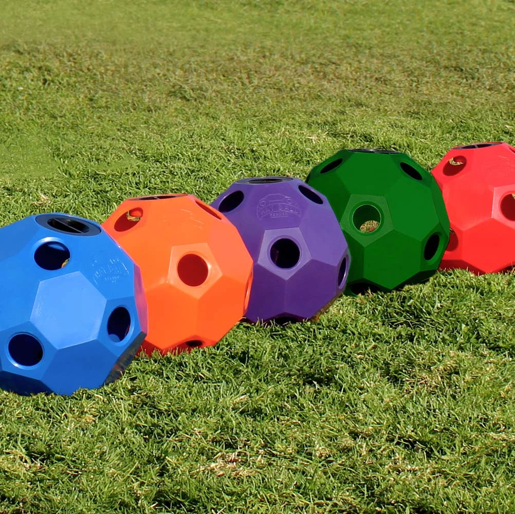 Burlingham Hay Ball Feeder