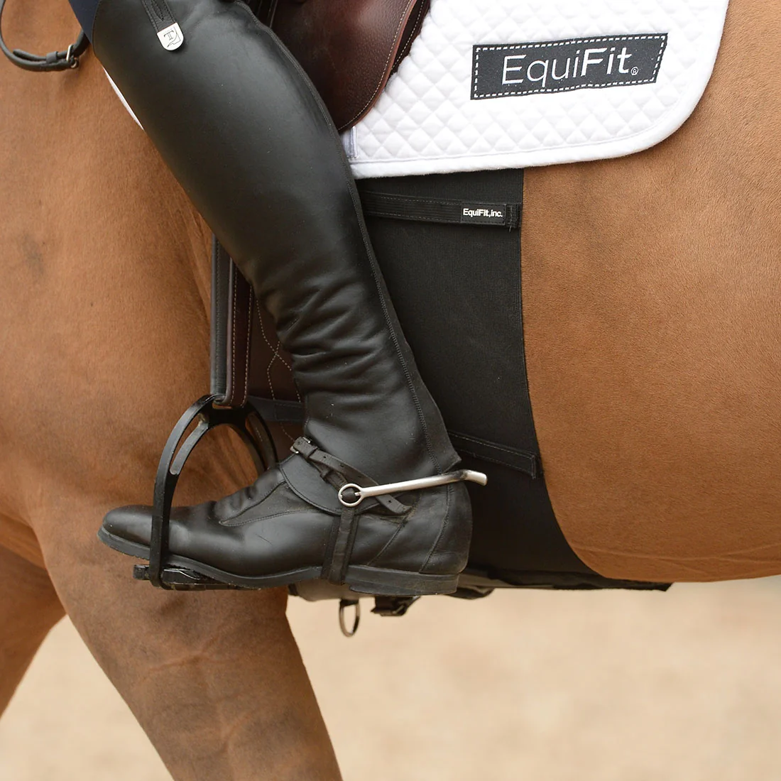 EquiFit BellyBand