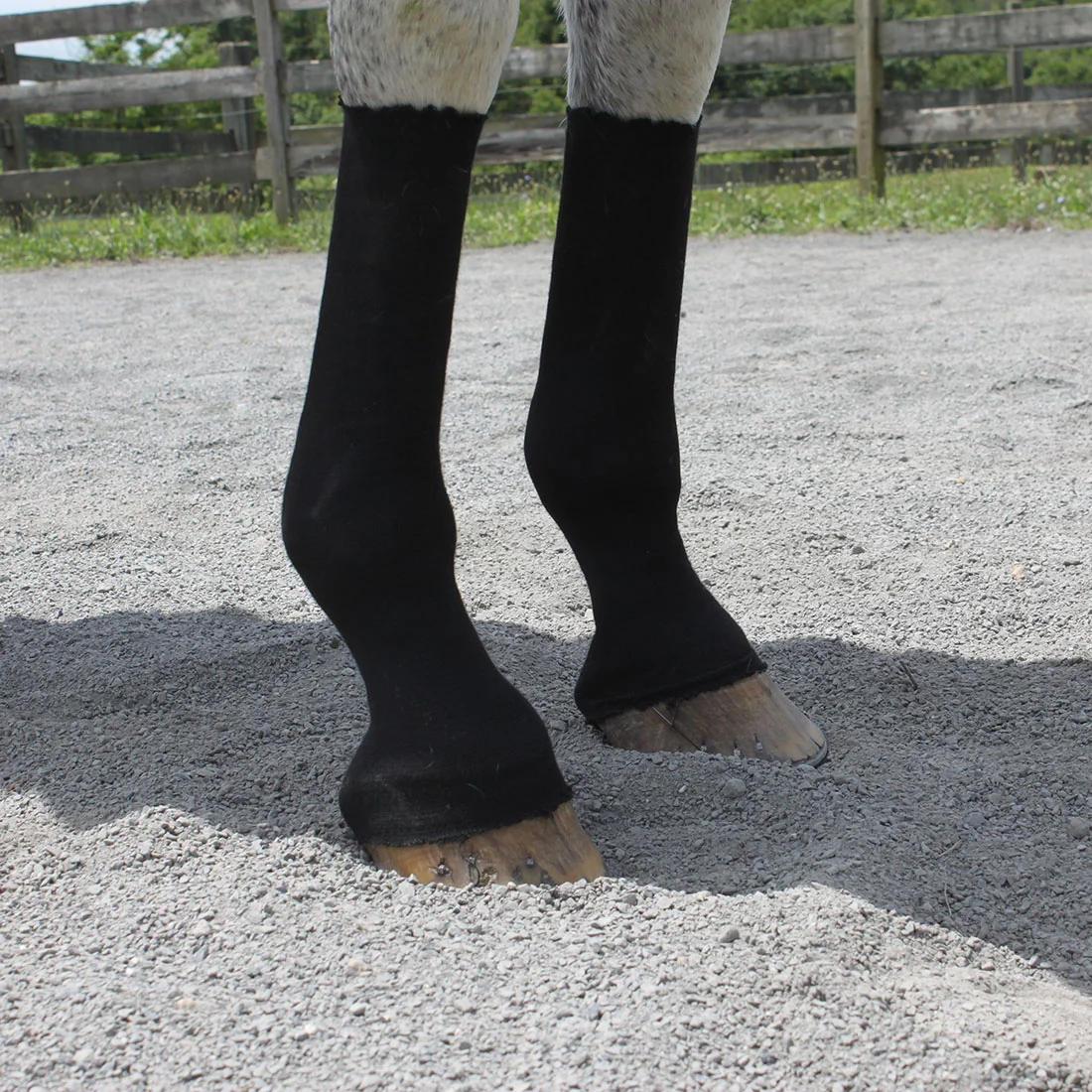 EquiFit HorseSox - Pair