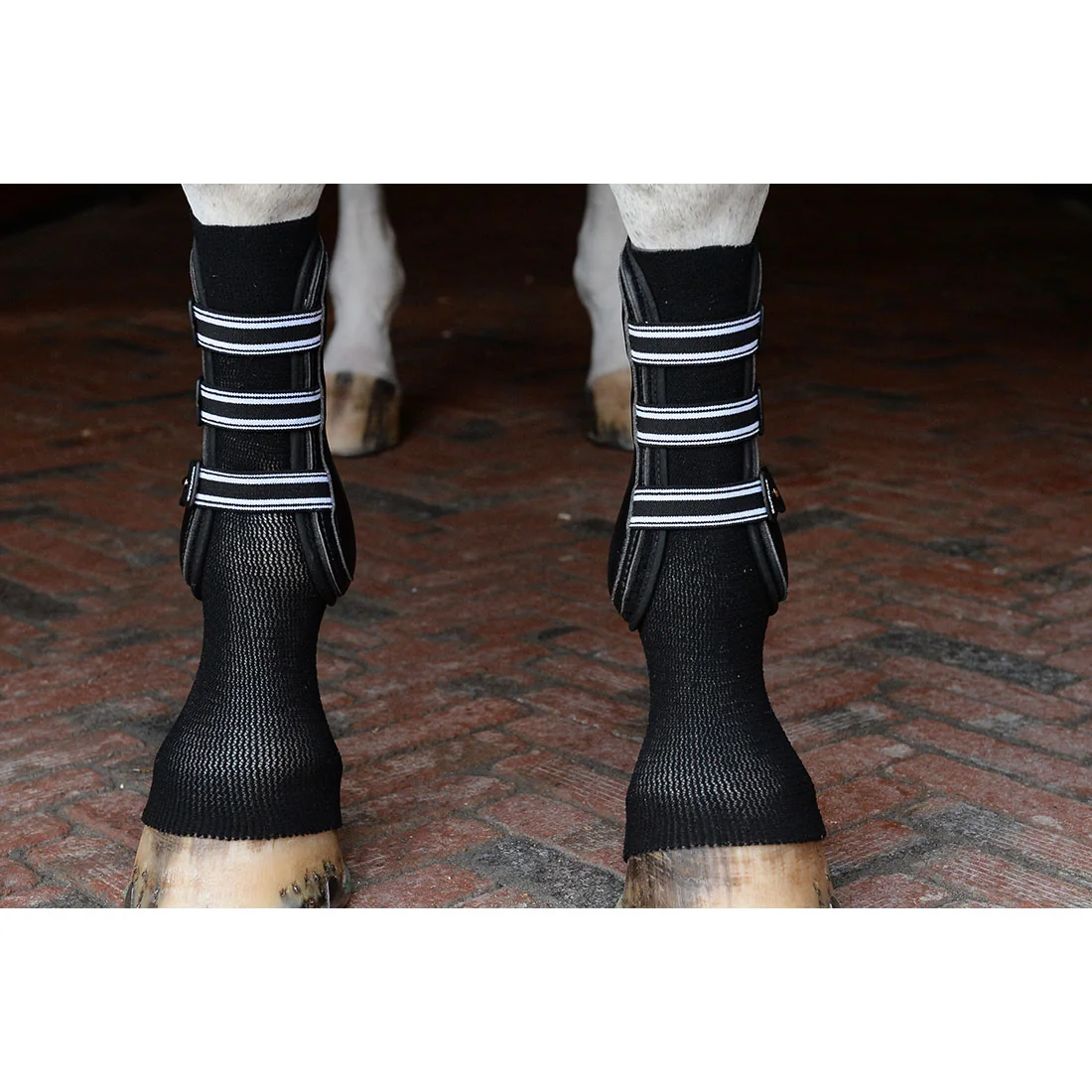 EquiFit GelSox 