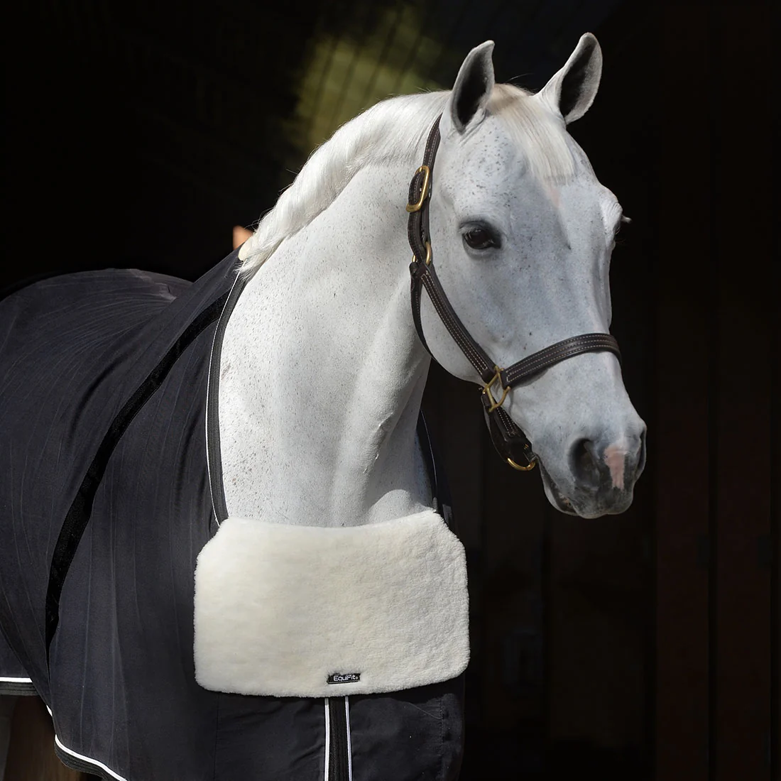 EquiFit UltraWool Blanket Bib