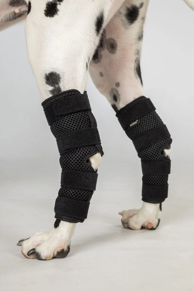 Back on Track Dixie Dog Hock Wrap