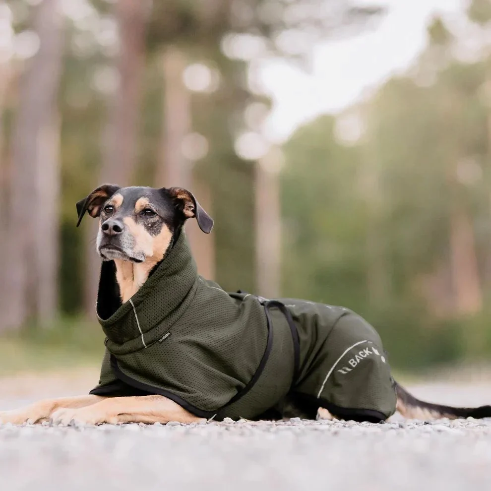 Back on Track Bay Mesh Dog Coat