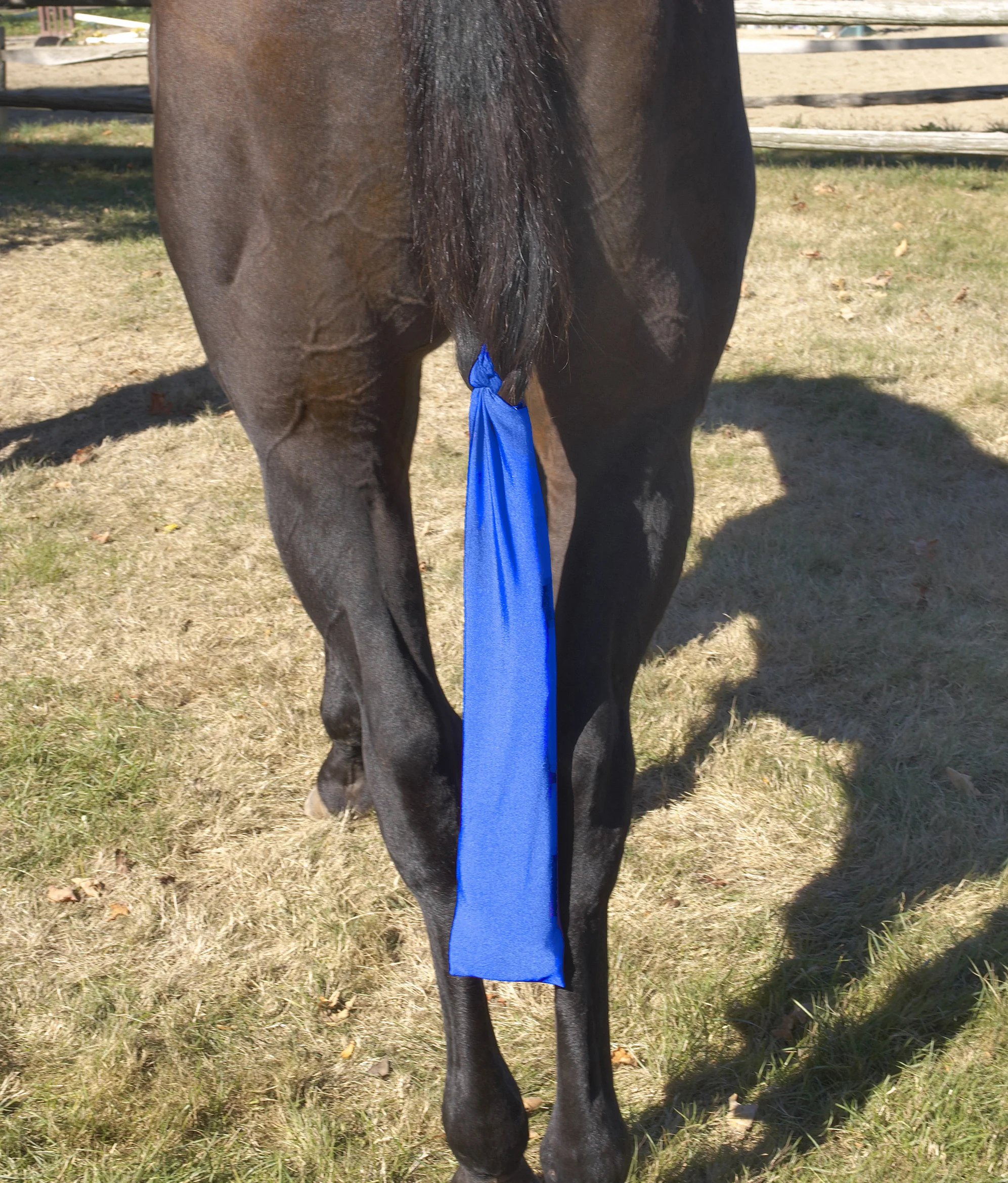 Centaur Stretch Tail Bag - ROYAL