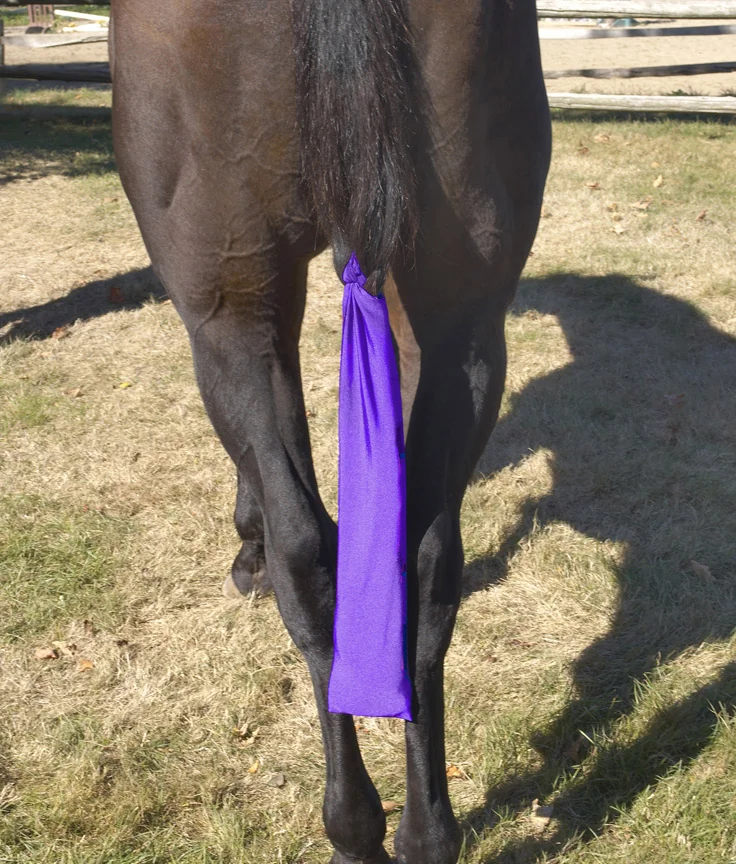 Centaur Stretch Tail Bag - PURPLE