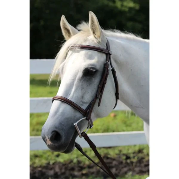 HDR Advantage Plain Raised Bridle