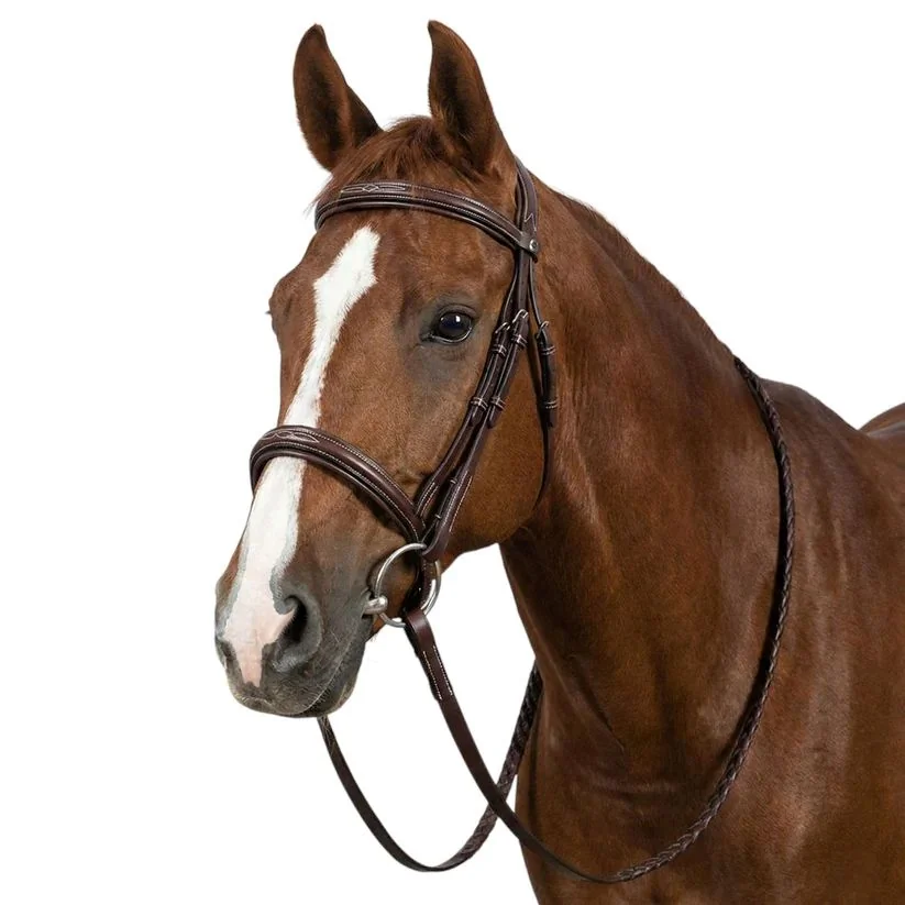 HDR Pro Mono Crown Fancy Bridle