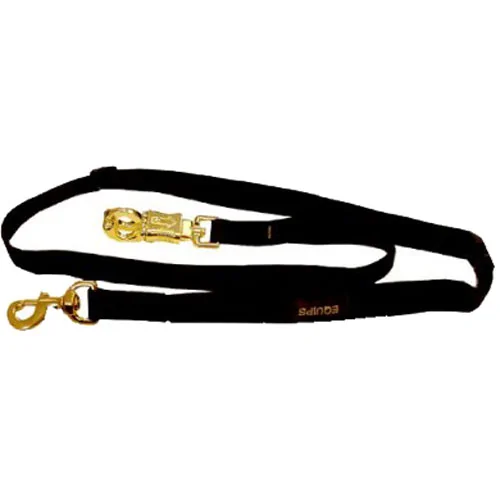 Tie Safe Trailer Tie
