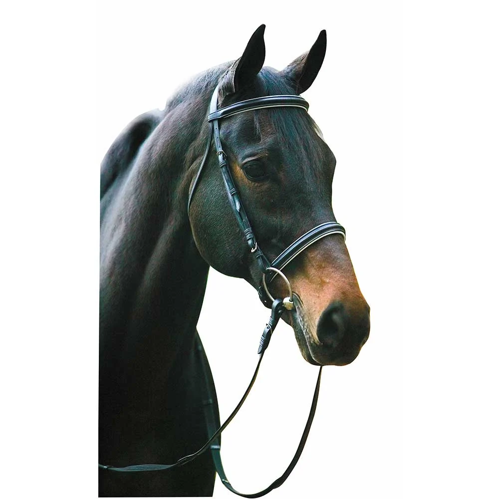 HDR Pro Collection Dressage Snaffle Bridle
