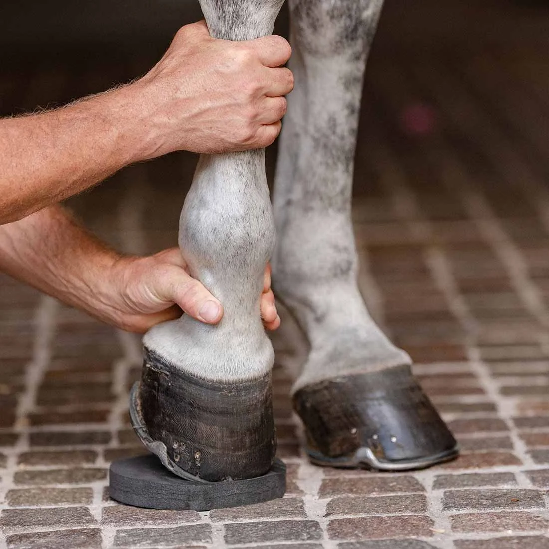 EquiFit HoofSavers