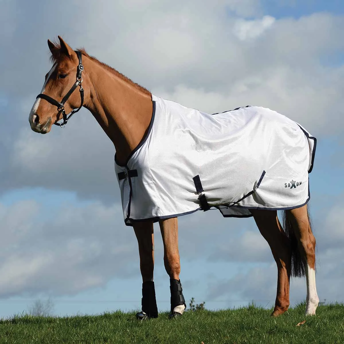 Saxon Mesh Standard Neck Fly Sheet