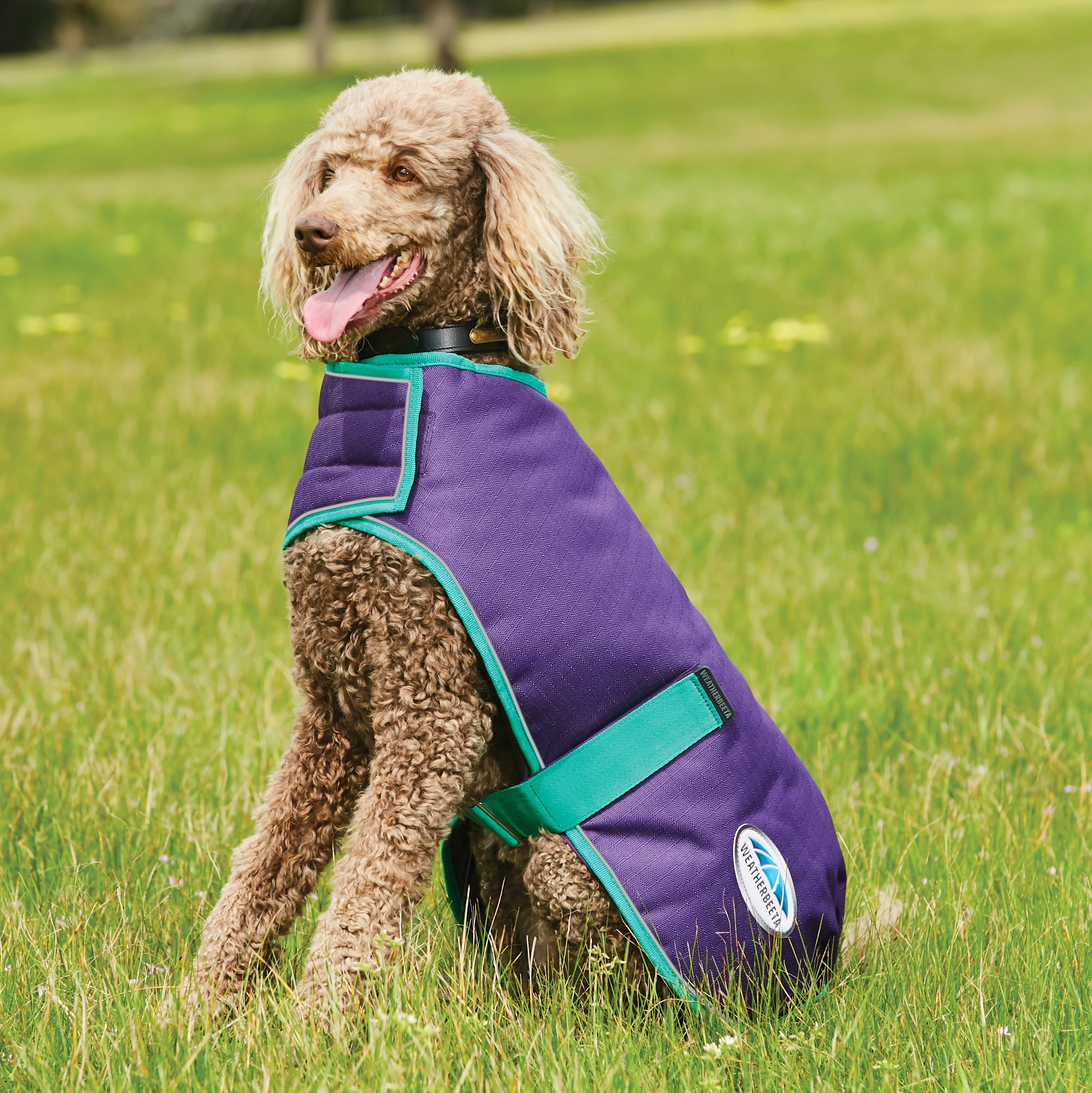 WeatherBeeta ComFiTec Premier Free Parka Dog Coat