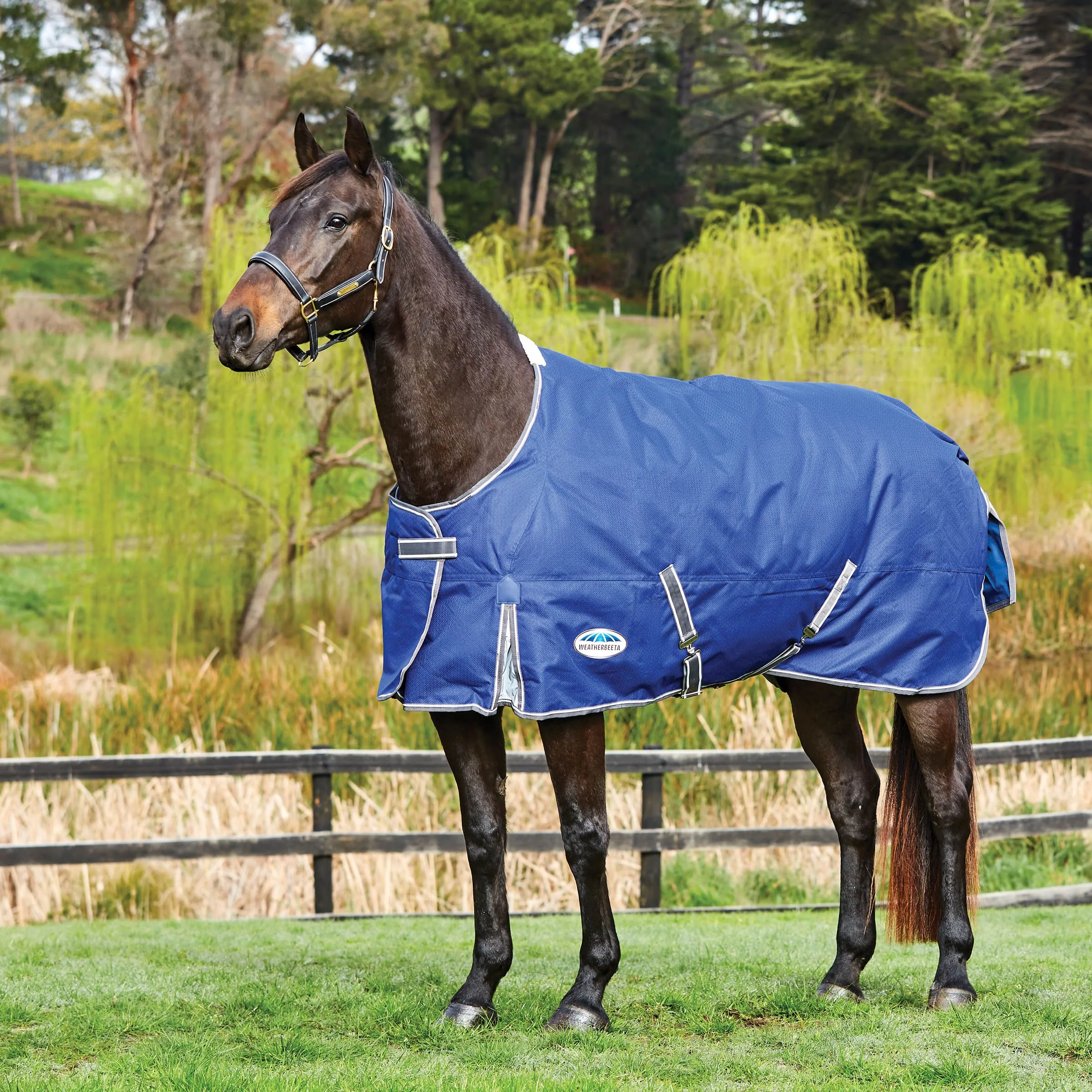 Weatherbeeta Comfitec Premier Free II Standard Neck Lite