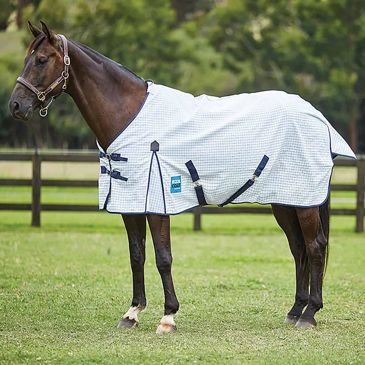 Weatherbeeta Kool Coat Classic III Regular Neck Sheet