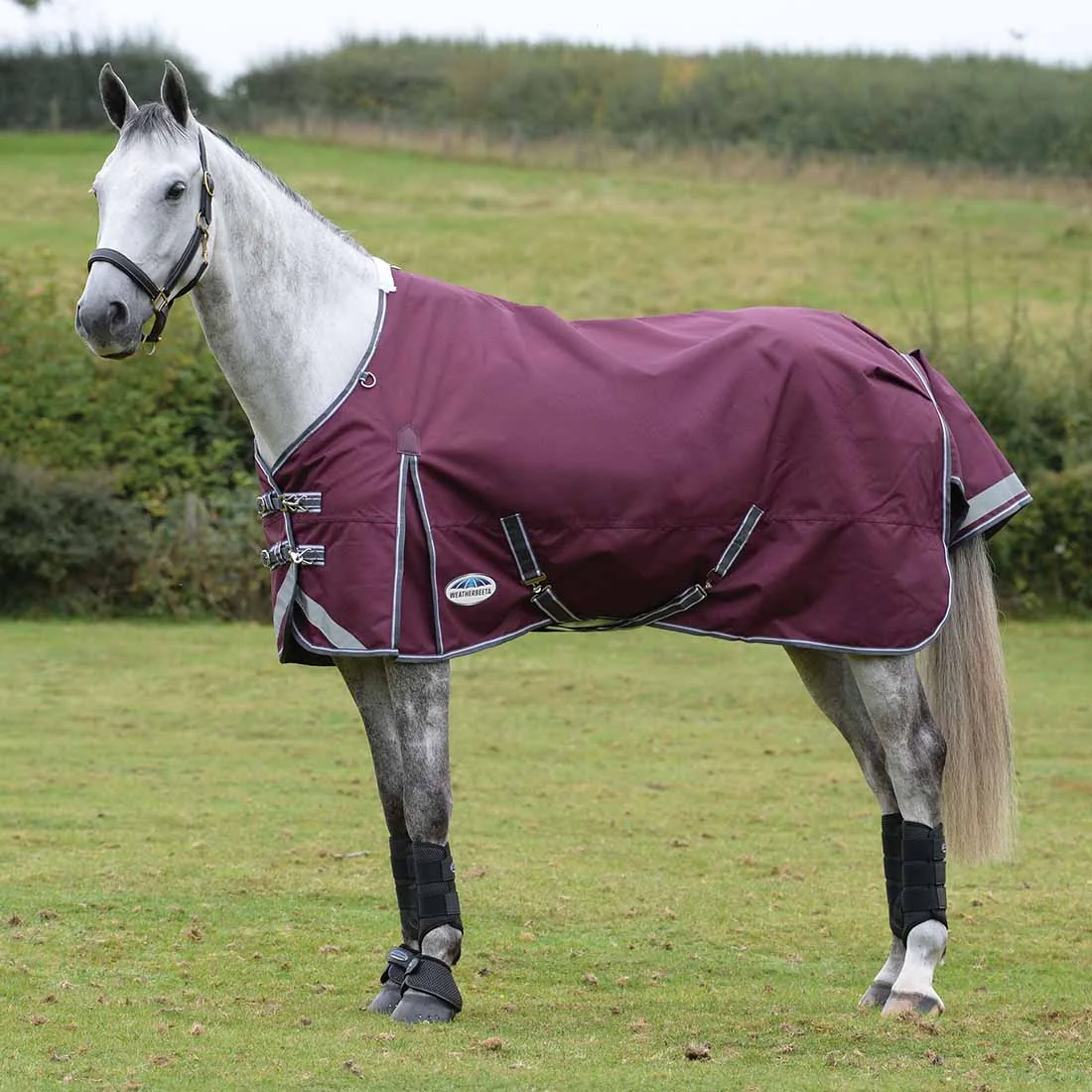 Weatherbeeta ComFiTec PLUS Dynamic II Standard Neck Lite
