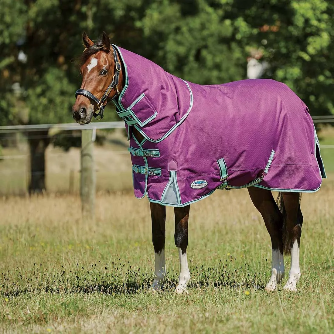 Weatherbeeta ComFiTec Premier Freedom Pony Detach-A-Neck Lite