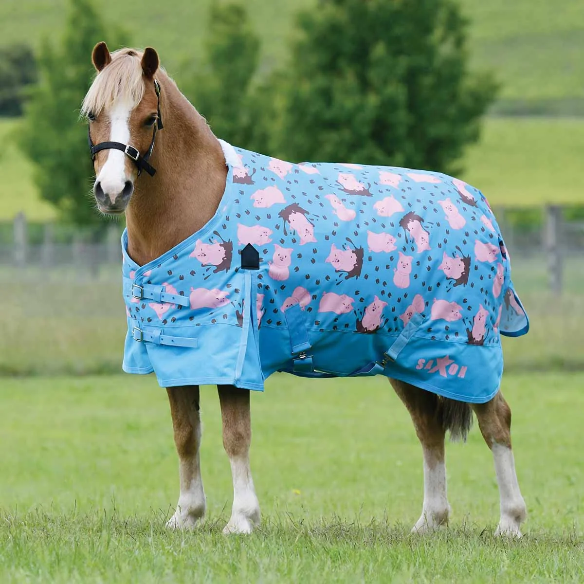 Saxon 600D Pony Standard Neck Medium