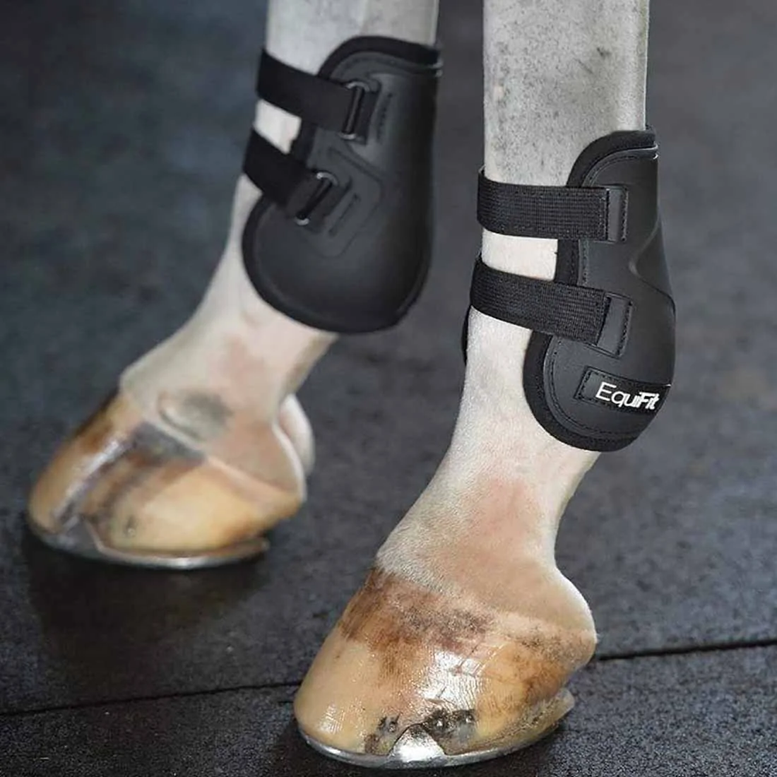 EquiFit Prolete Hind Boots