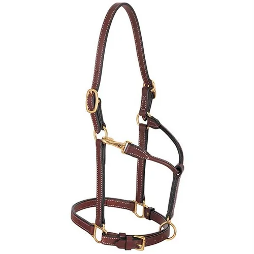 Weaver Leather 3/4in Double Buckle Leather Halter