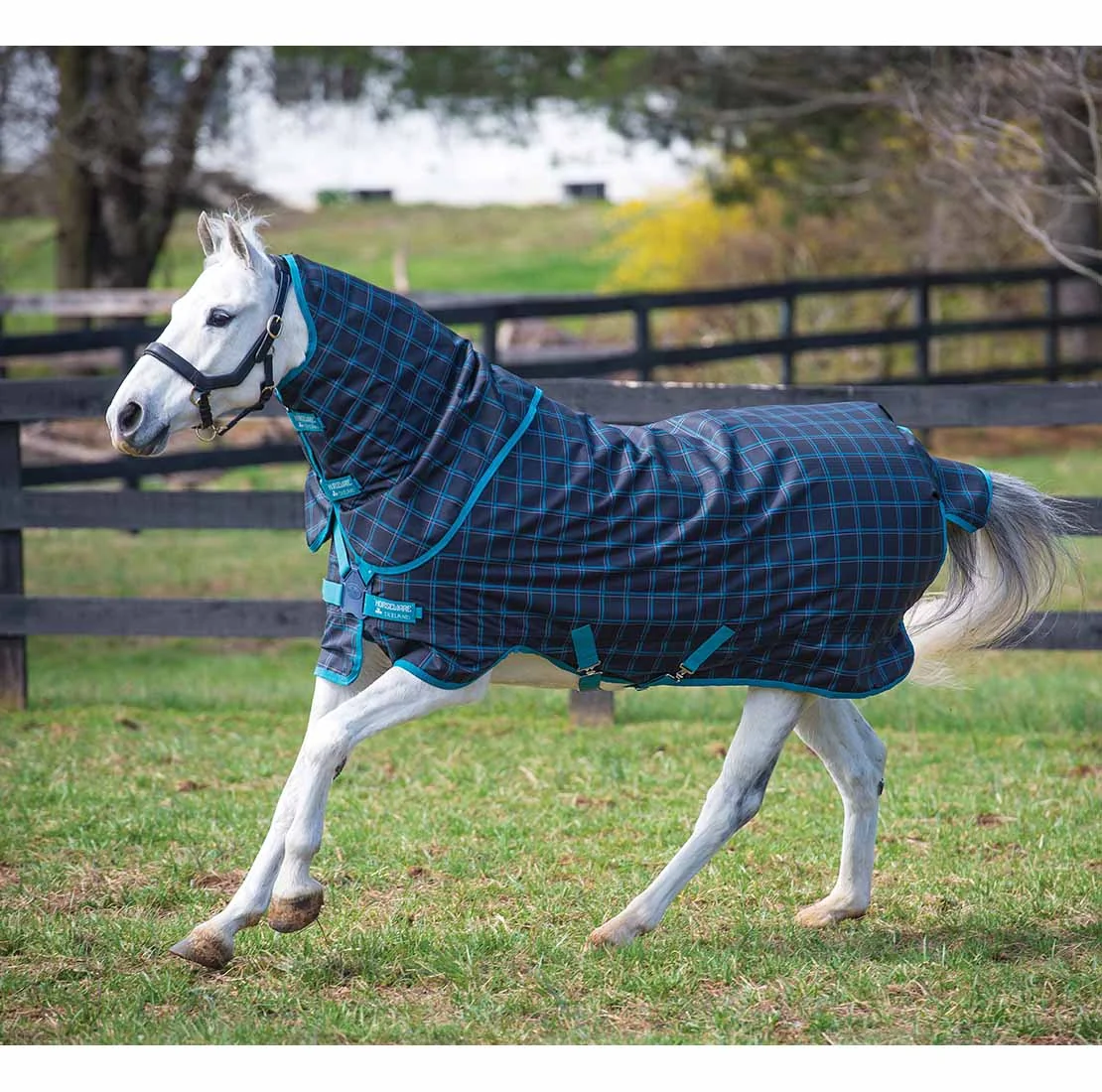 Amigo Pony Plus 50g