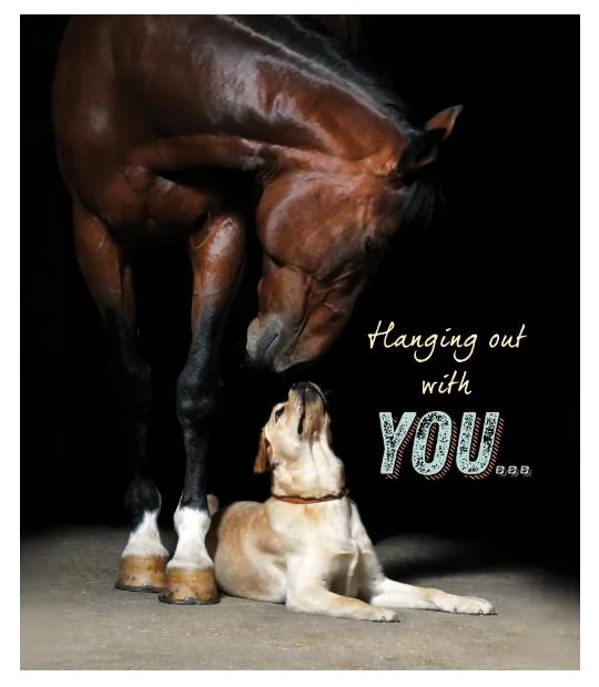 Thinking of You Card