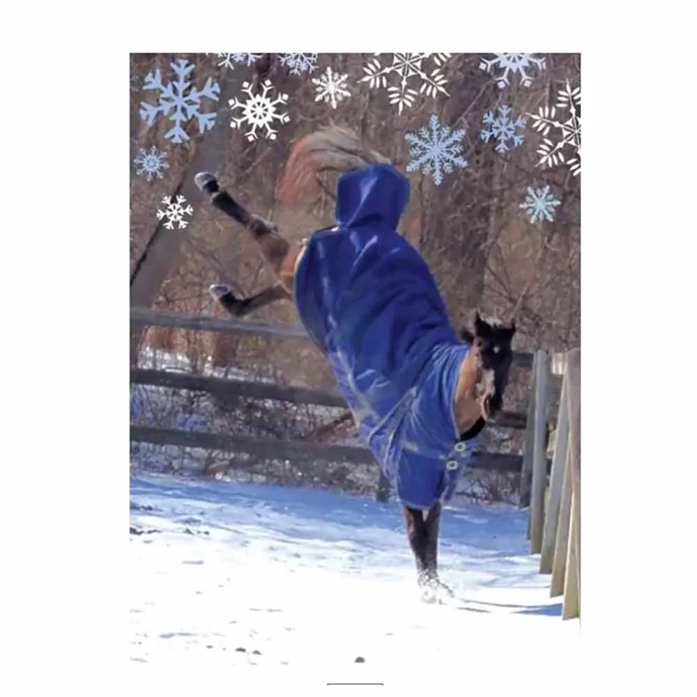 Christmas Card: Happy Bucking Holidays
