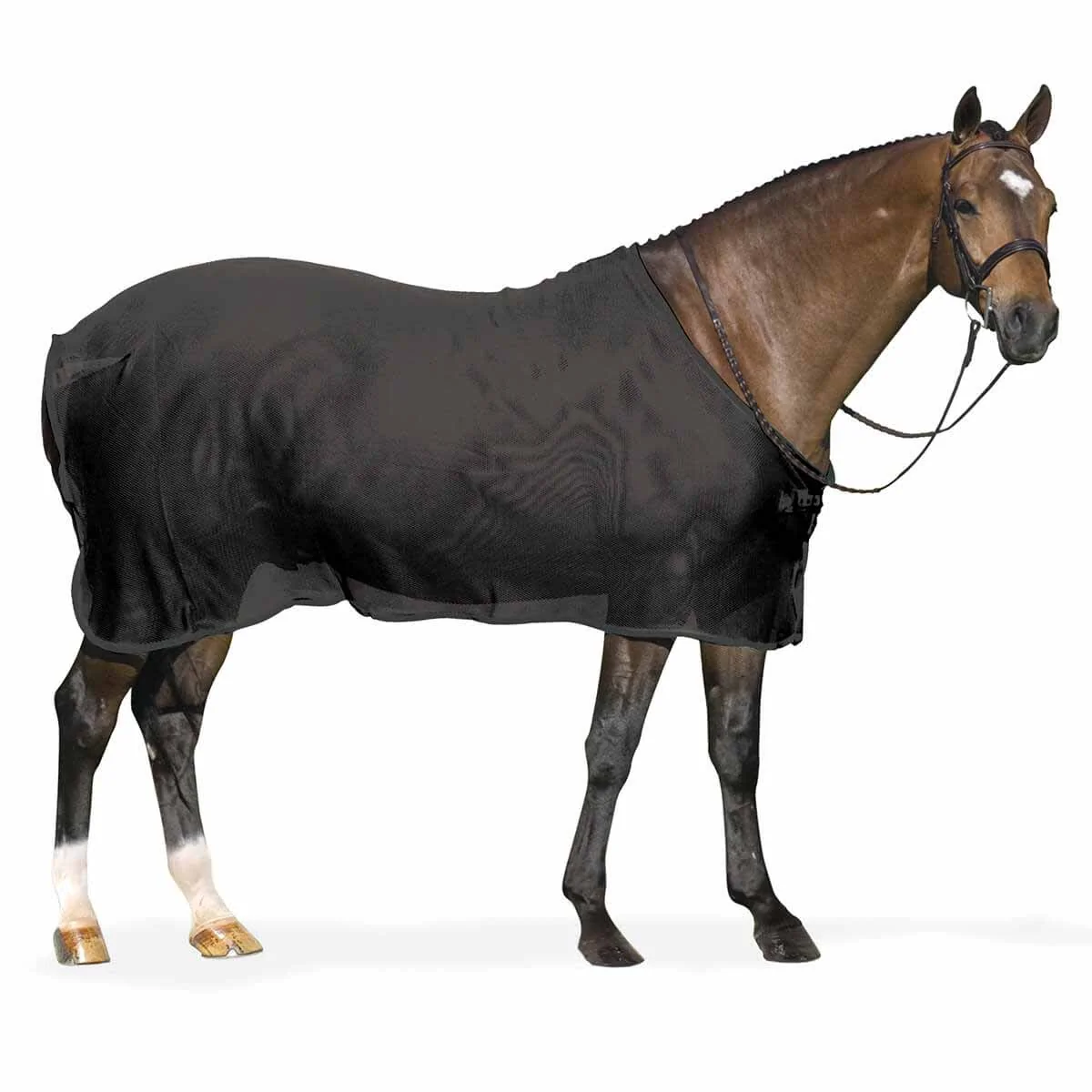 Centaur Show Scrim Sheet