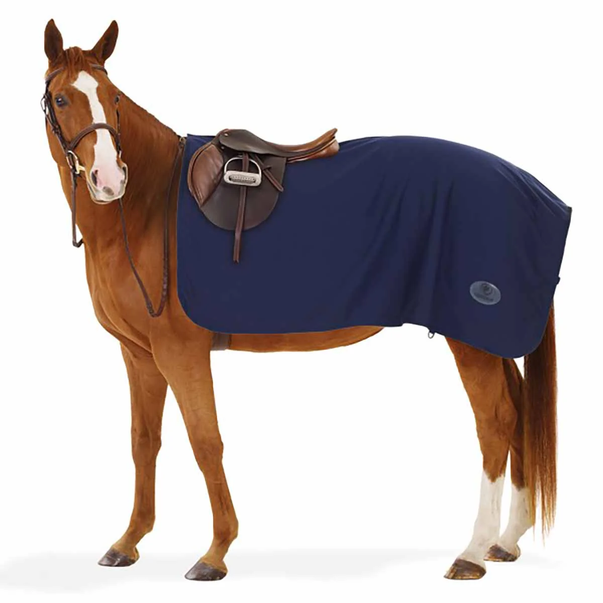 Centaur Turbo-Dry Fleece Exercise Sheet
