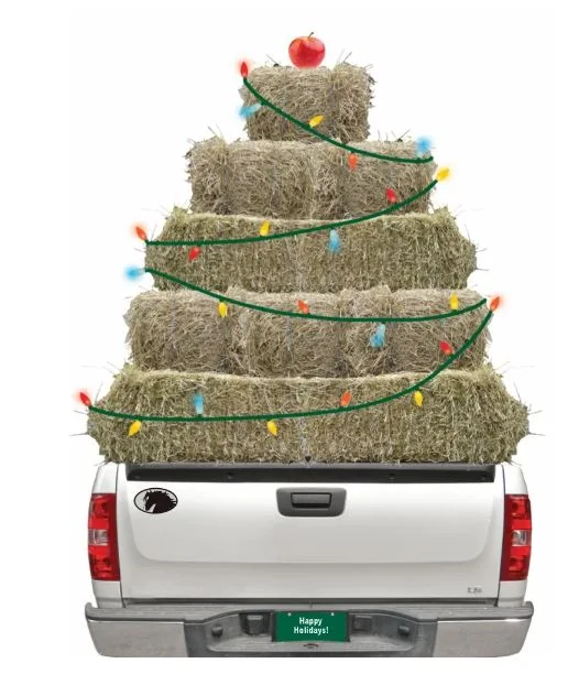 Christmas Card: Truck Load