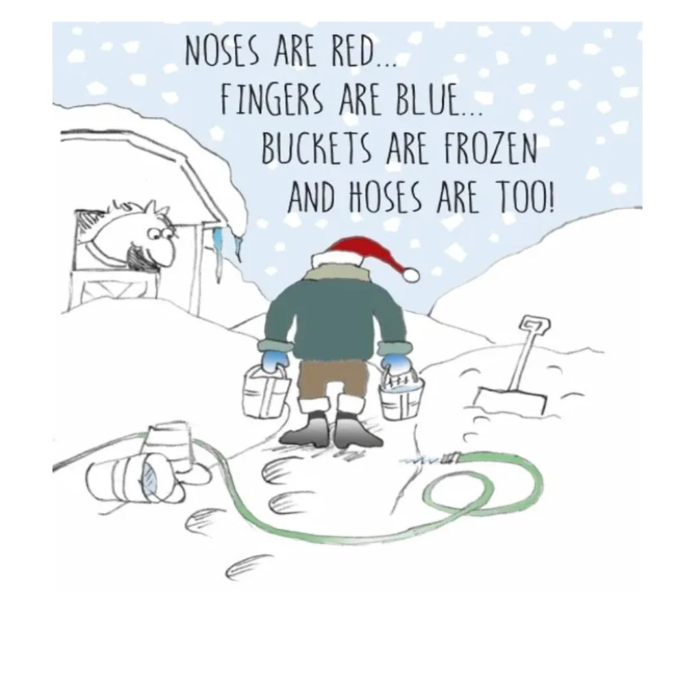 Christmas Card: Noses are Red