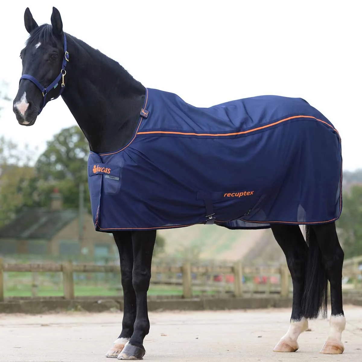 Bucas Recuptex Light Therapy Sheet
