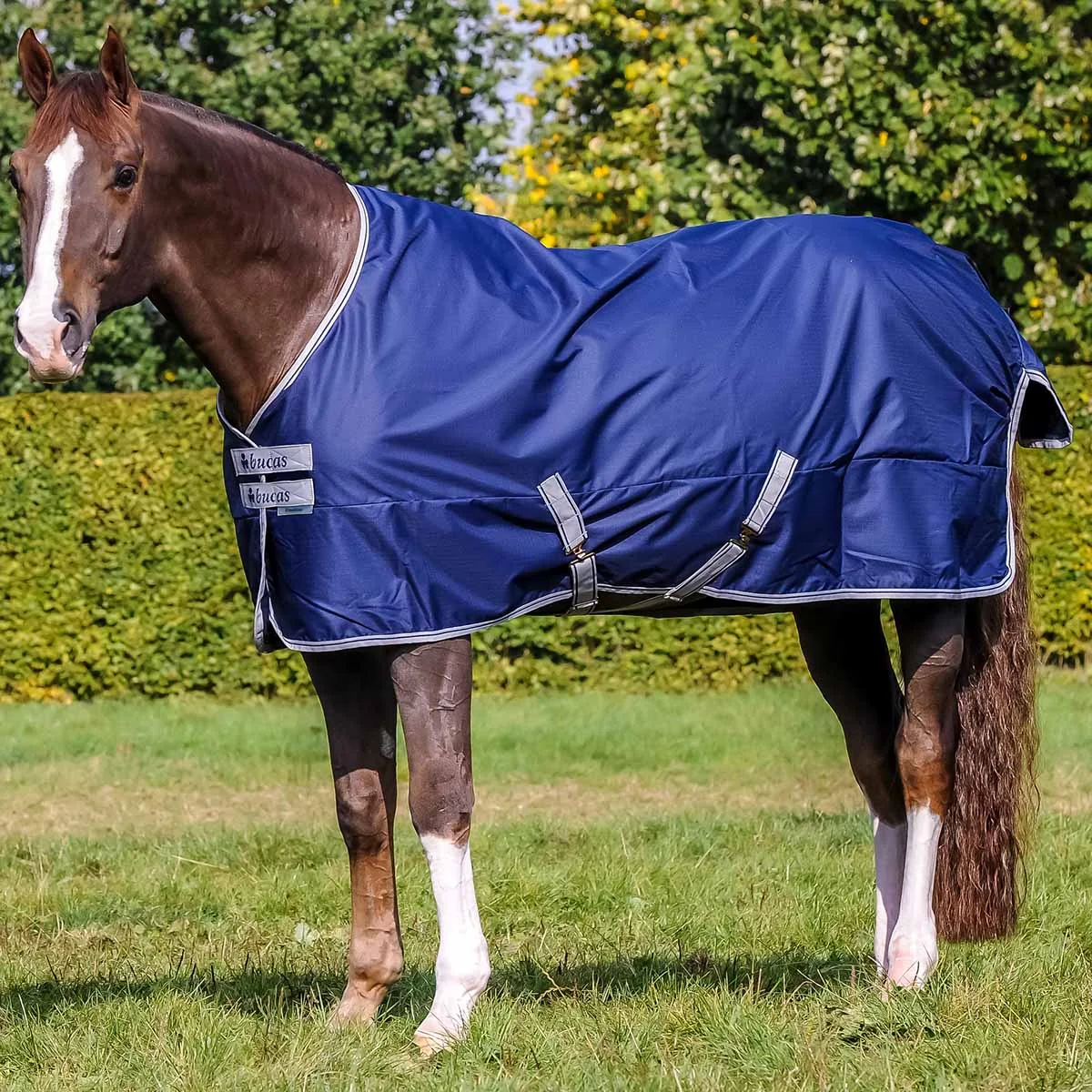 Bucas Freedom Turnout Lightweight