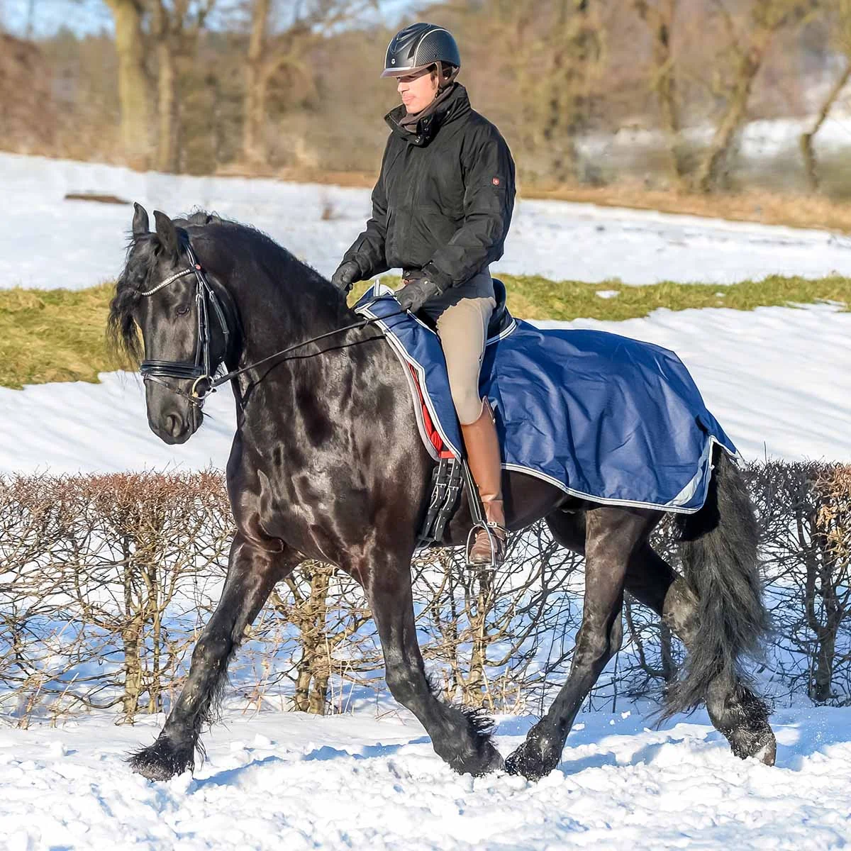 Bucas Riding Rug