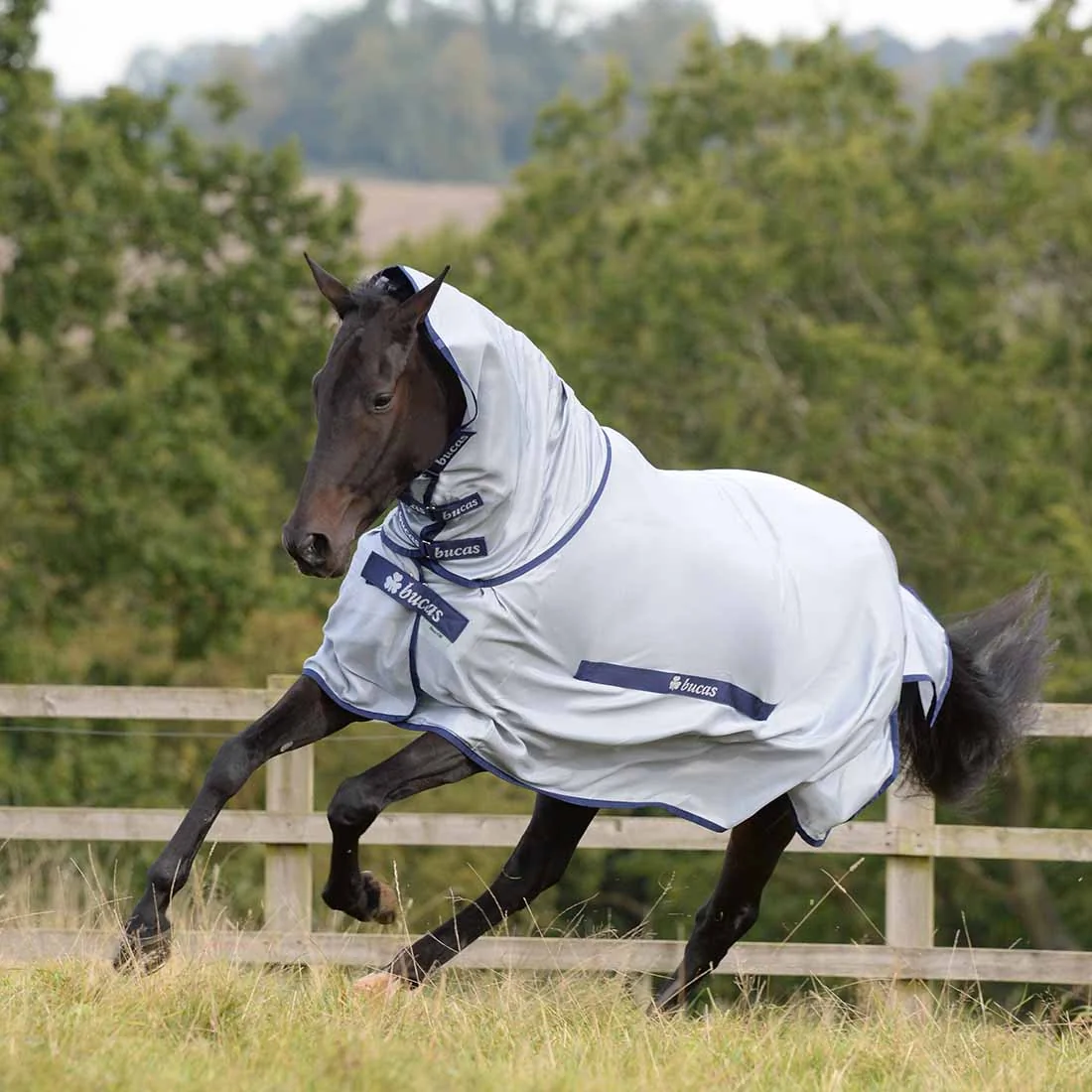 Bucas Buzz Off Fly Sheet with Detachable Neck