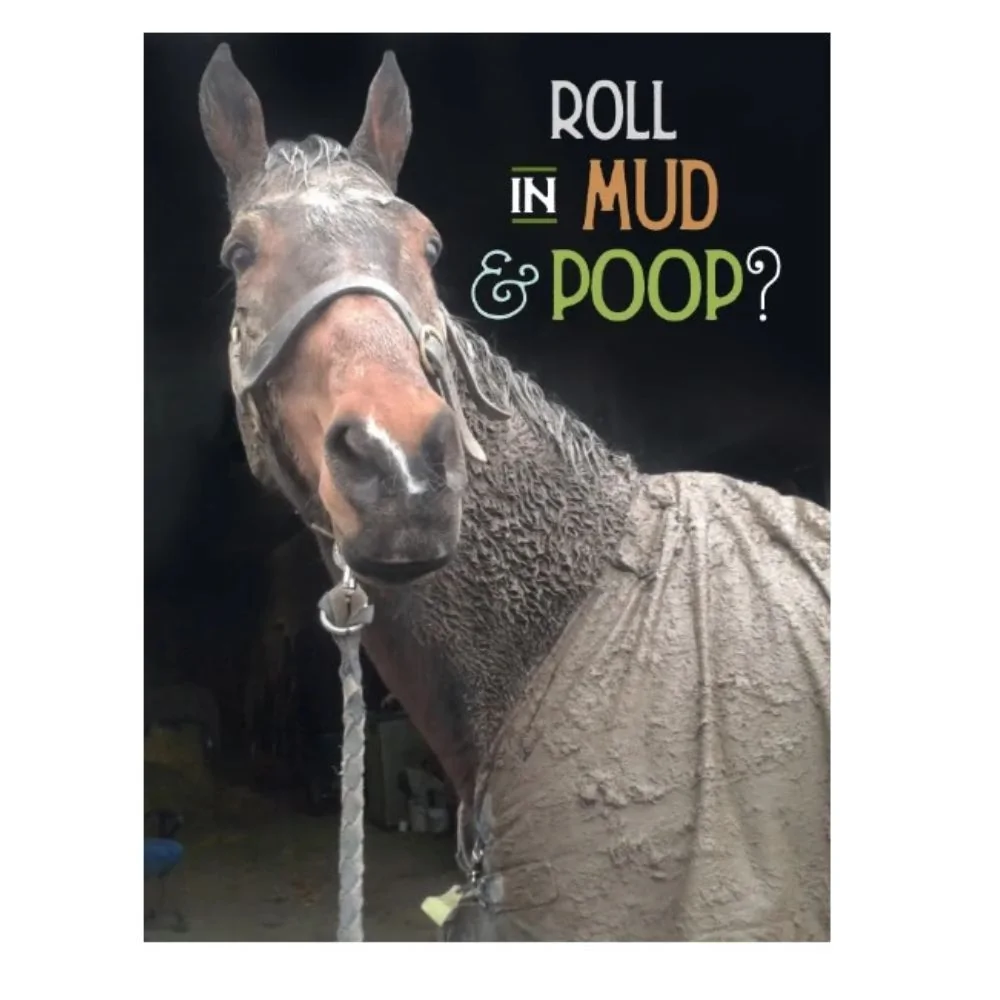 Birthday Card: Muddy Horse