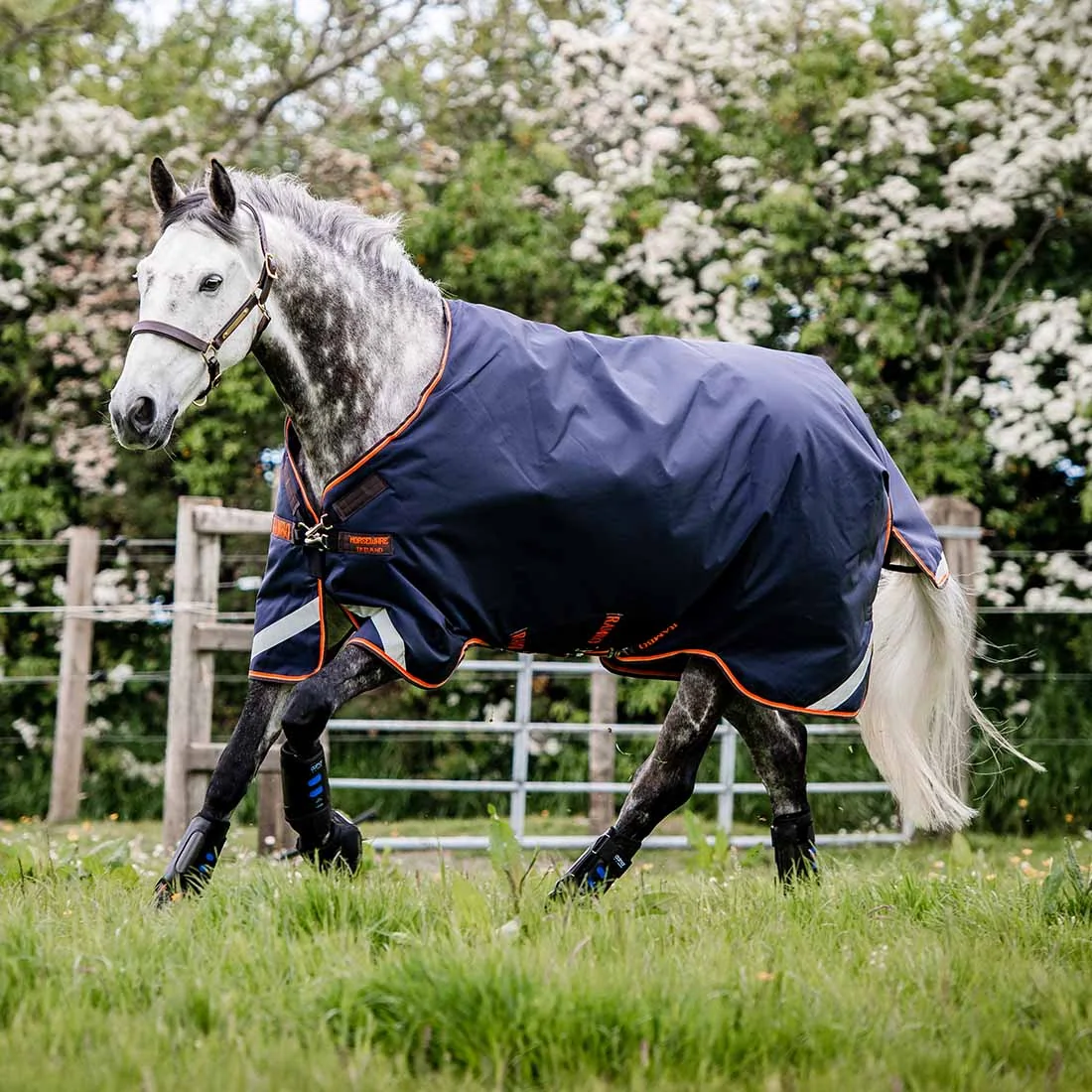 Rambo Original Turnout 100 gm with Leg Arches