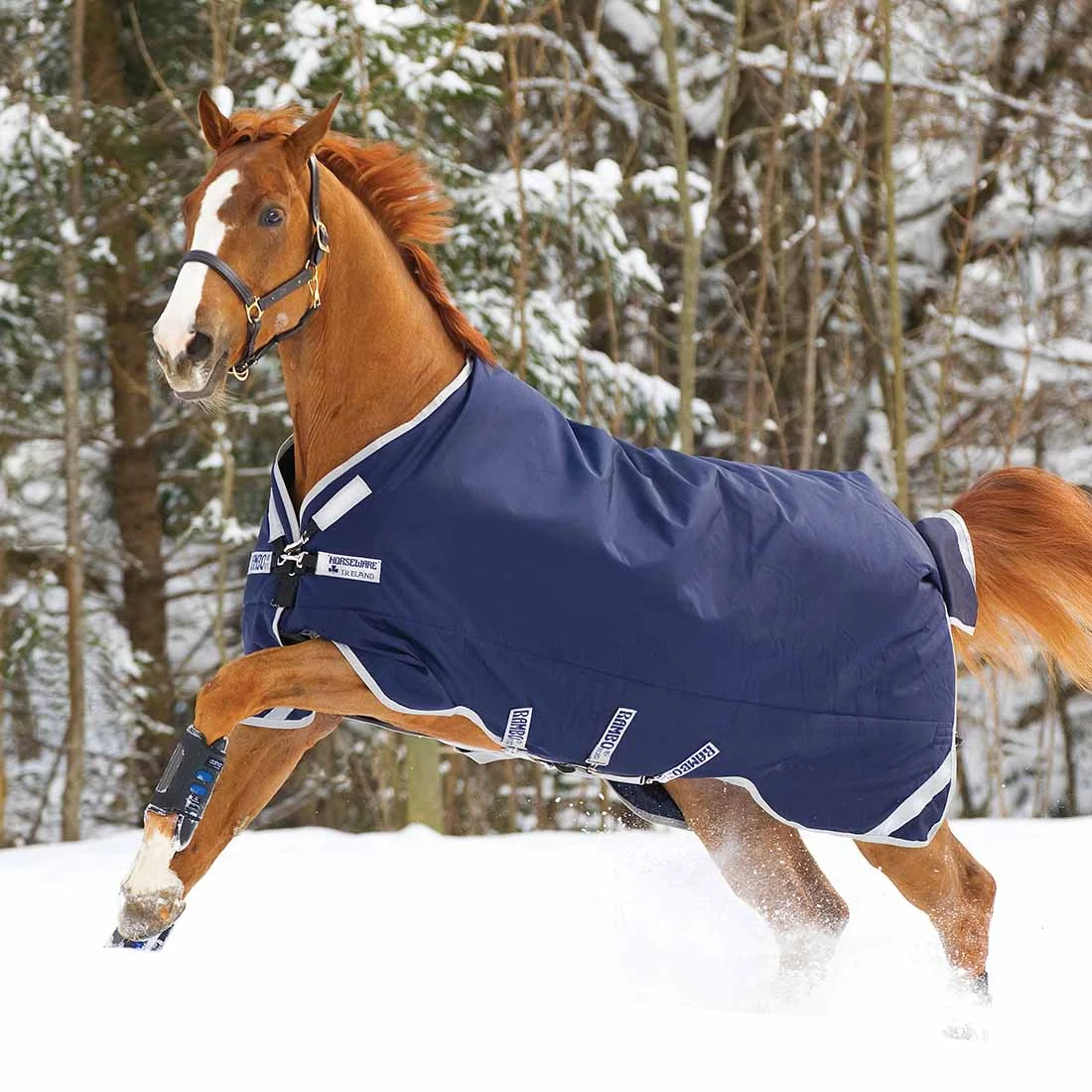 Rambo Original Turnout Medium Weight with Leg Arches