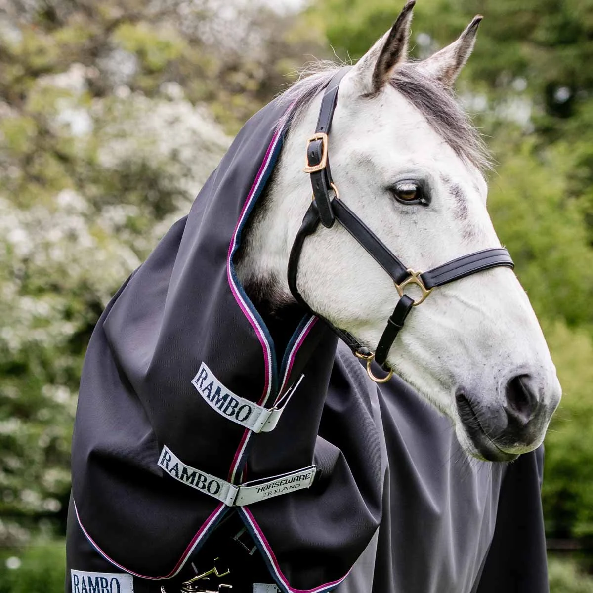 Rambo 1680D Turnout Hood 0g