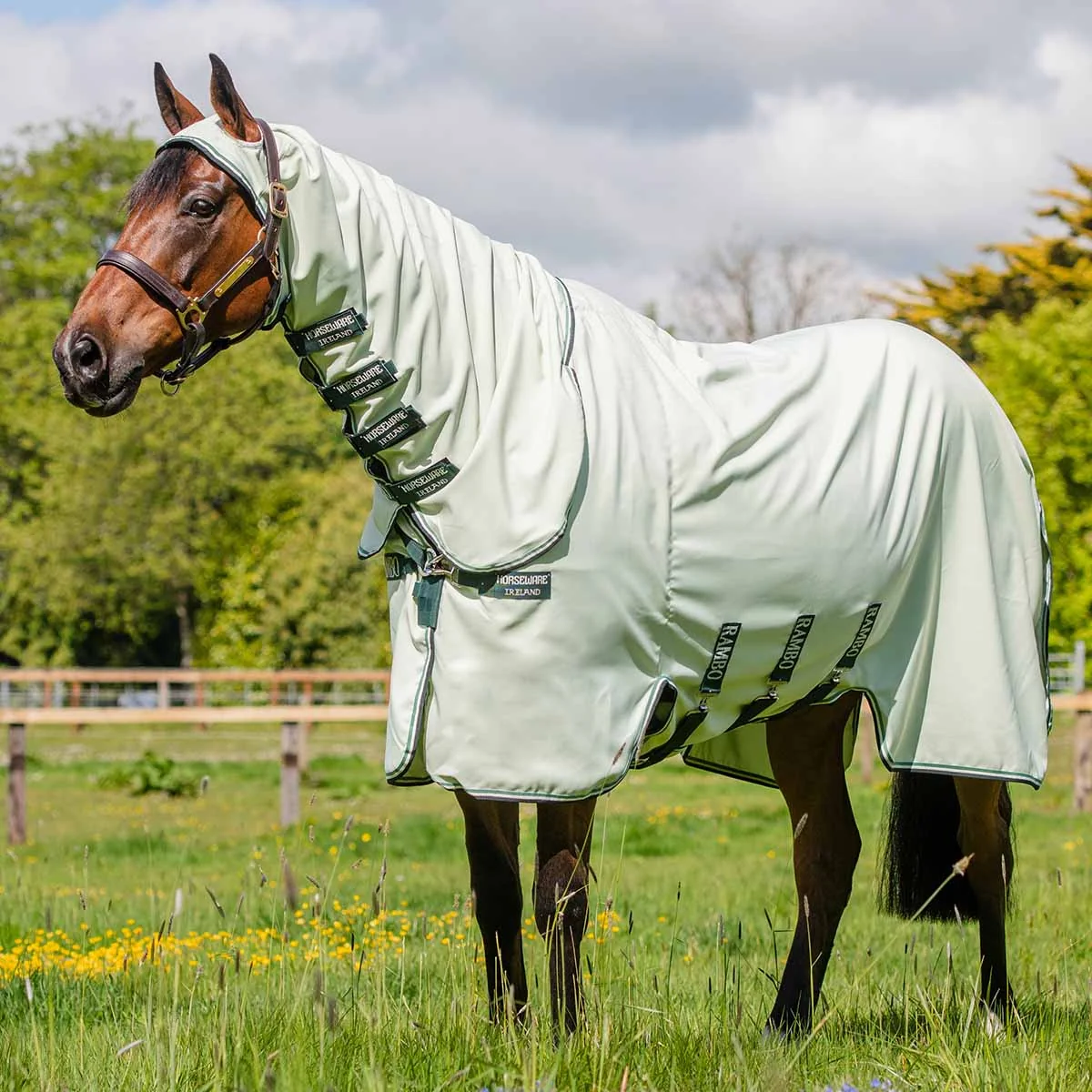 Rambo Hoody Fly and Summer Sheet