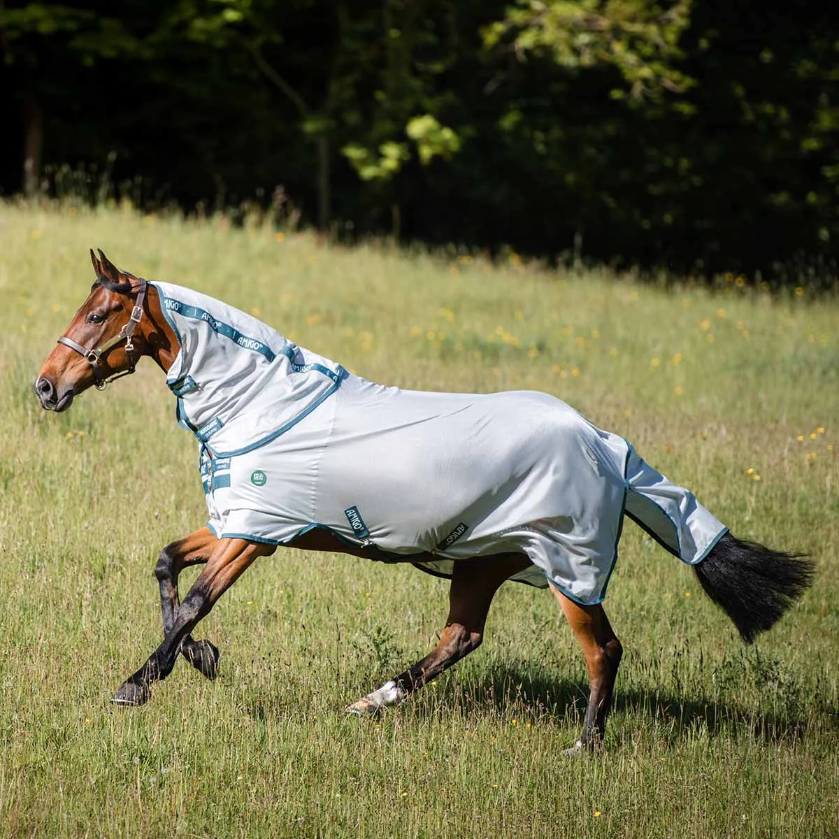 Amigo AmEco Bug Rug Fly Sheet