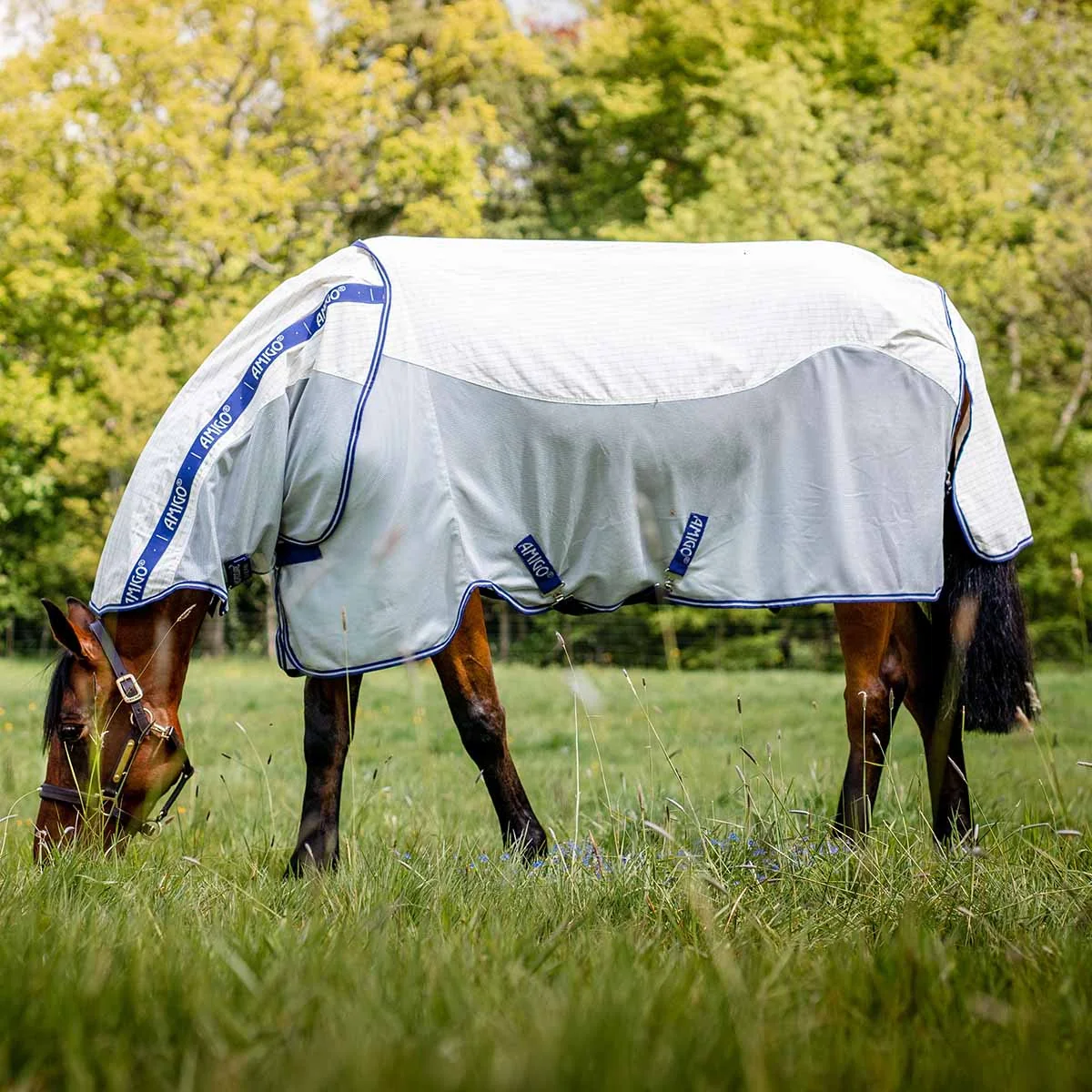 Amigo Airflow Plus