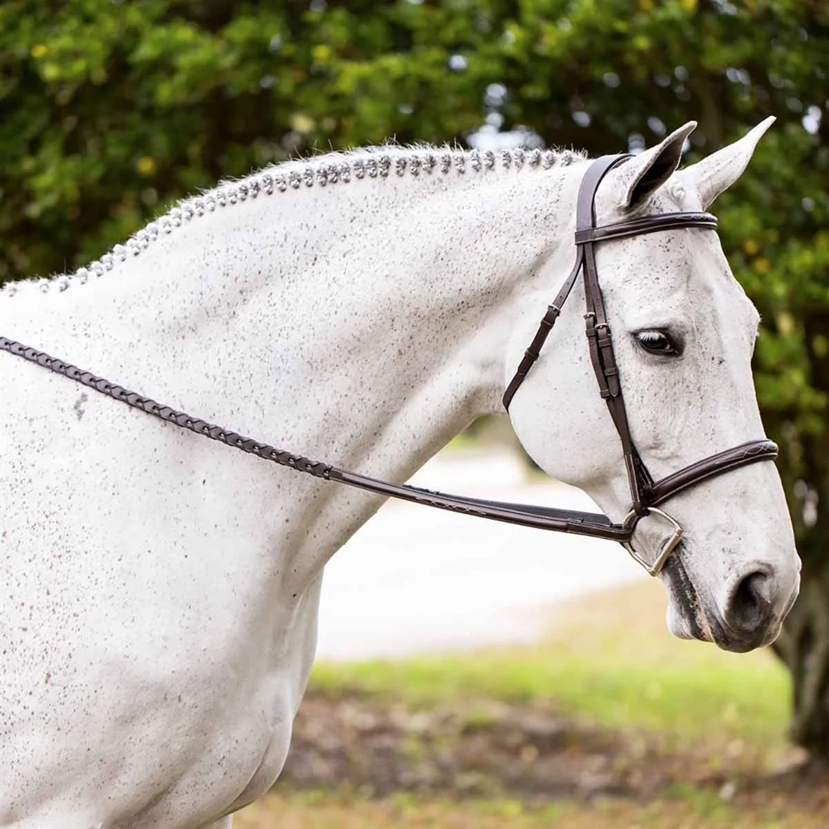 Equinavia Valkyrie Fancy Stitched Hunter Bridle