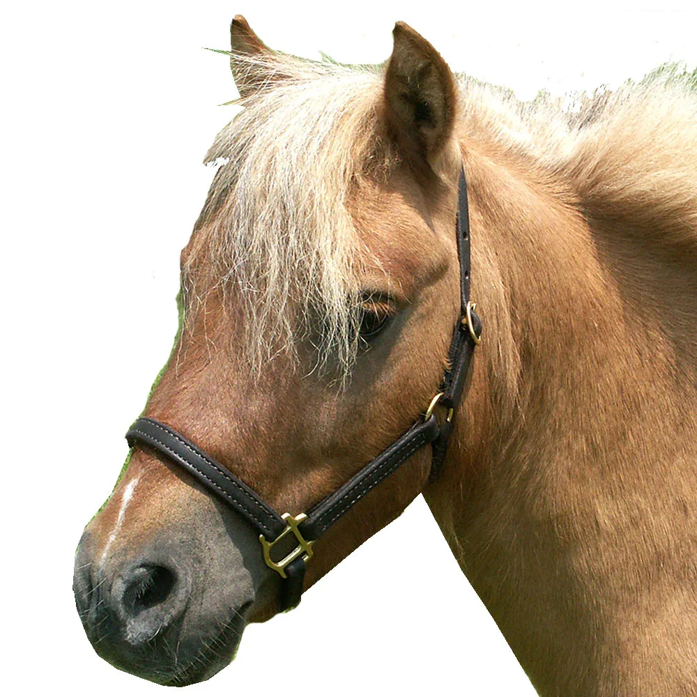 Mini Leather Double Stitched Halter