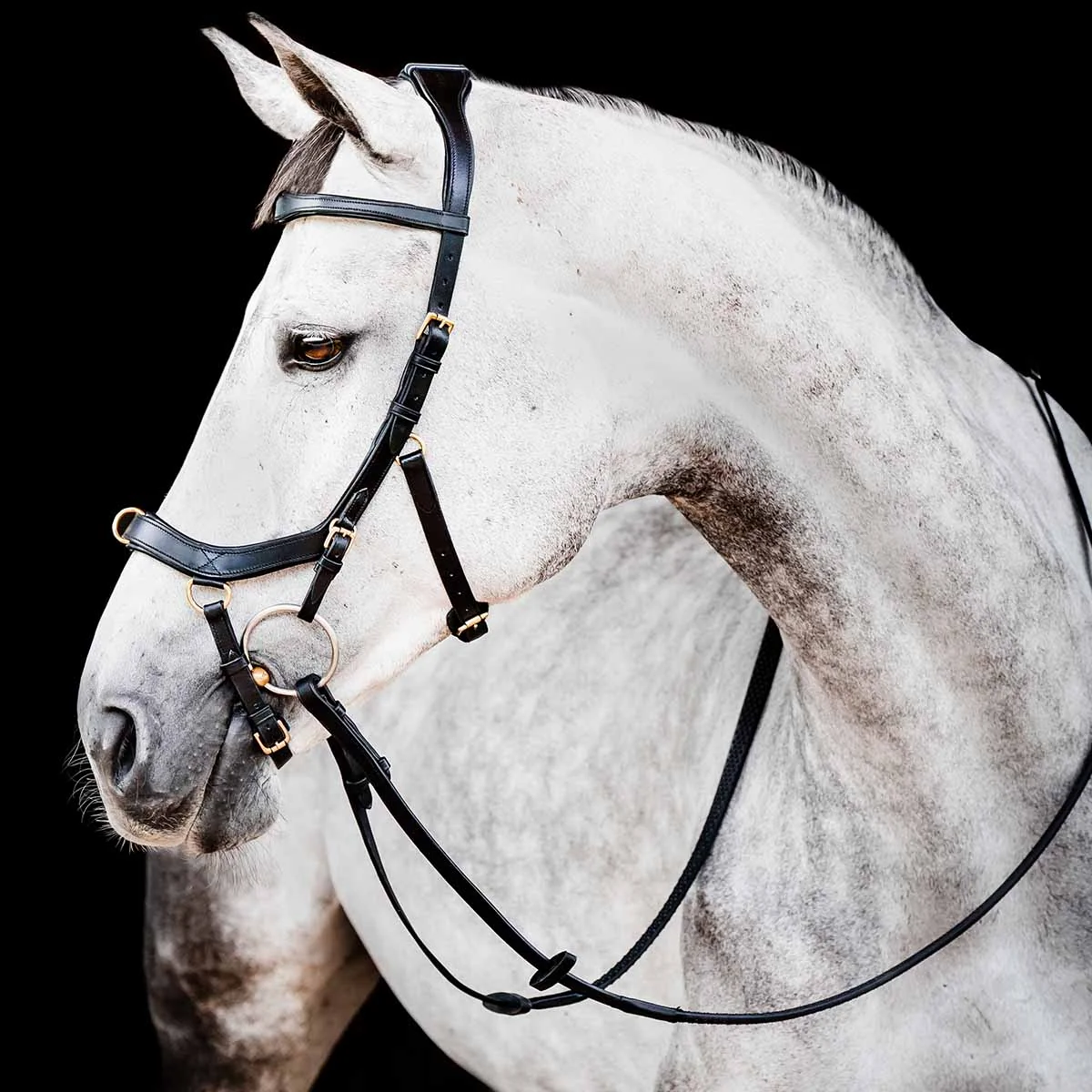 Rambo Micklem 2 Multi Bridle w/ Reins