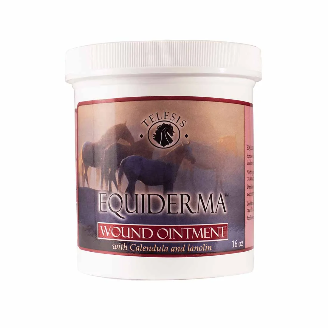Equiderma Wound Ointment for Horses 16 oz