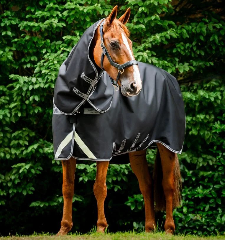 Rambo 1680D Plus Turnout 100g